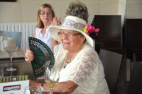 /album/presentacion-de-las-fiestas-de-san-pelayo-2015/ads-3357-jpg/